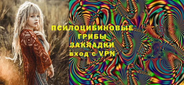 ПСИЛОЦИБИНОВЫЕ ГРИБЫ Касимов