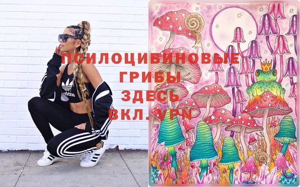 ПСИЛОЦИБИНОВЫЕ ГРИБЫ Дмитров
