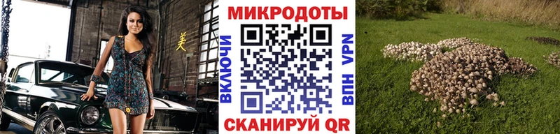 цены   Лебедянь  Псилоцибиновые грибы мицелий 